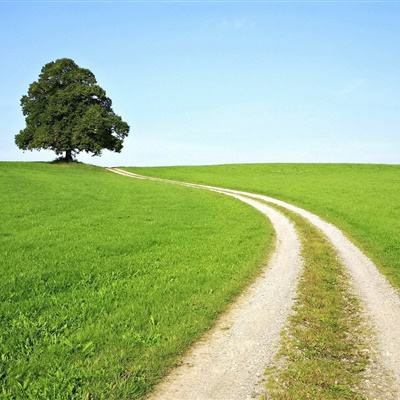 火狐体育下载appapp下载